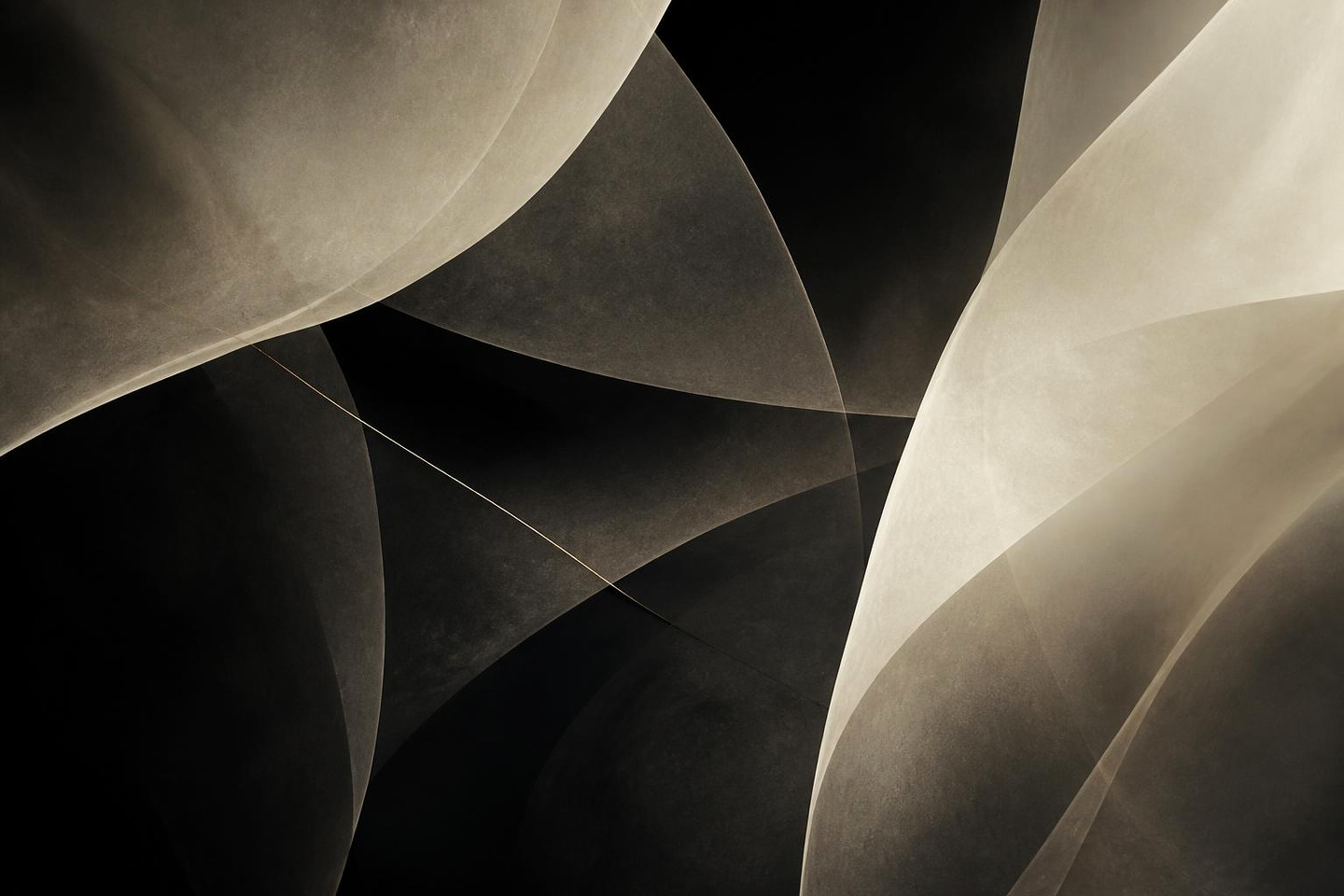 VALÉORINE editorial artwork: flowing translucent vellum-like curves in ivory over charcoal